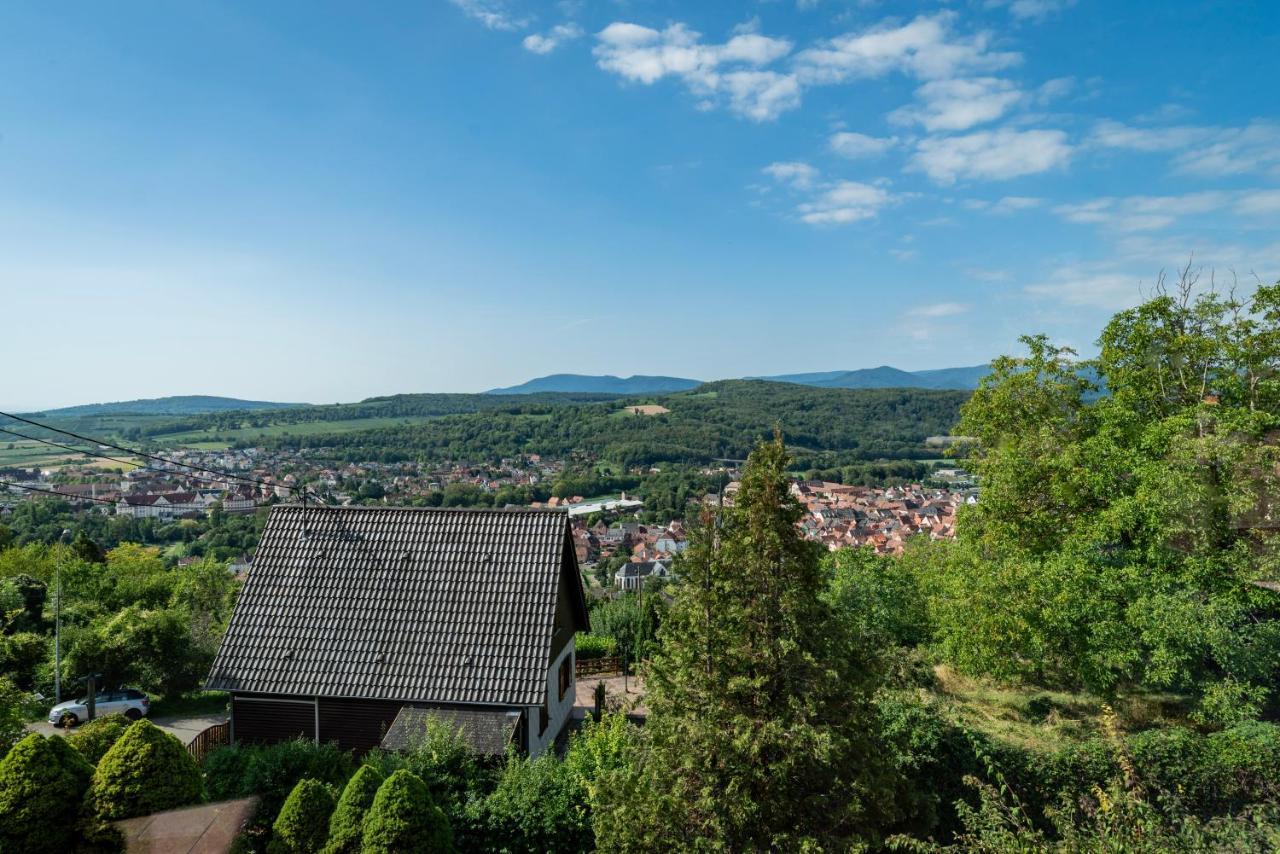 Le Grand Nichoir De La Colline - Parking - Wifi Villa Mutzig Eksteriør billede